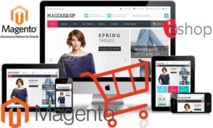 κατασκευή eshop magento, κατασκευή site, ιστοσελίδας e shop